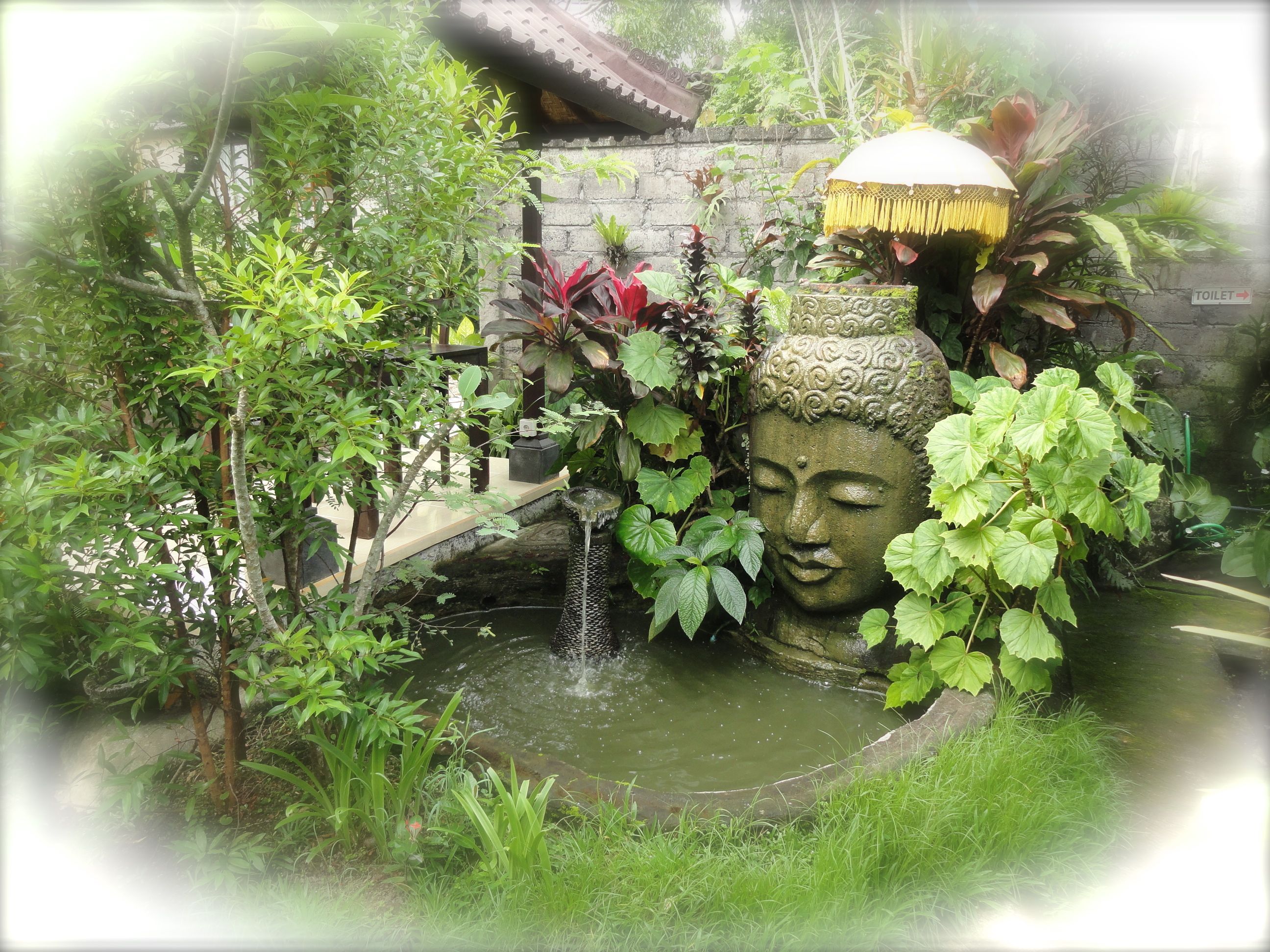 Image of Beer and/or Rice Wine